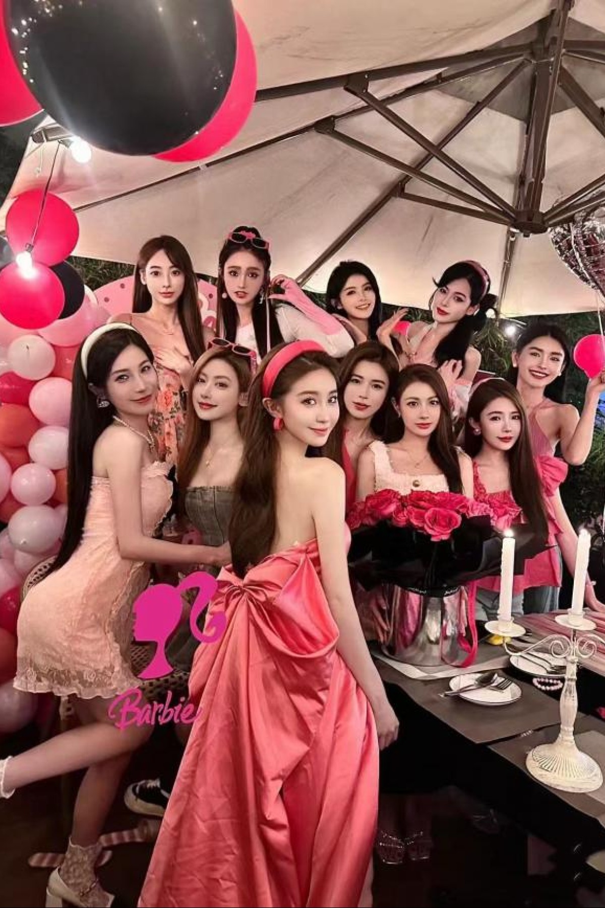 后宫顶级女神波士顿